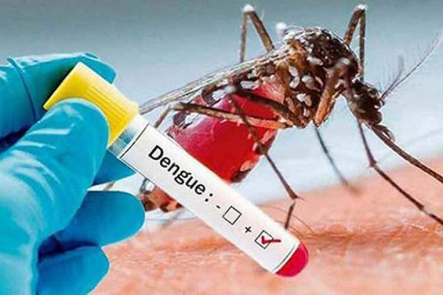 Llaman en Cuba a la autorresponsabilidad ante casos de dengue