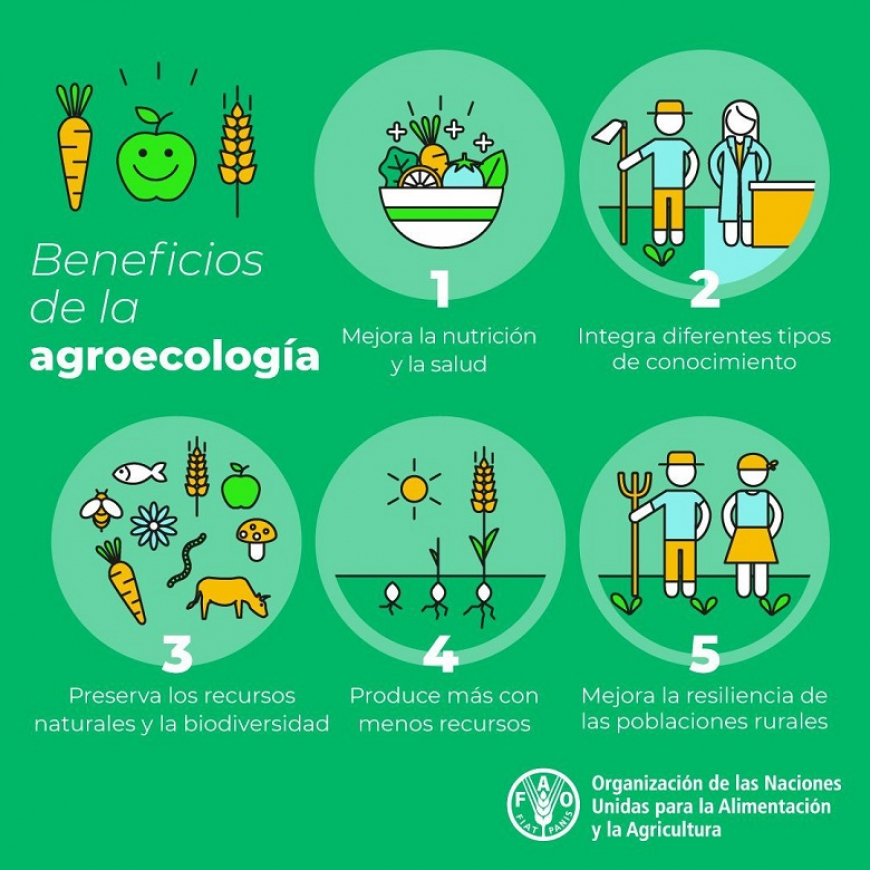 Agroecología, un camino a la soberanía alimentaria
