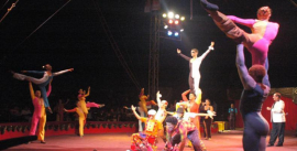 Templo del circo en Cuba reanuda programación de verano