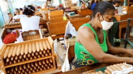 El arte del tabaco y sus artesanos