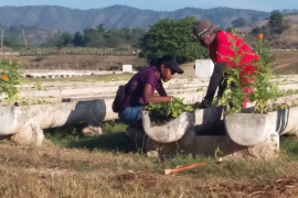 Movimiento obrero impulsa producción de alimentos en Santiago de Cuba