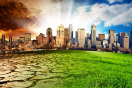 Lo que dejó el cambio climático en 2022
