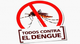 Intensifican lucha antivectorial ante alza de Aedes aegypti