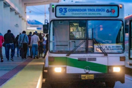Capital de Ecuador habilitará parcialmente servicio de transporte