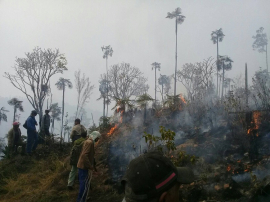Apoyan santiagueros contención del incendio en Pinares de Mayarí