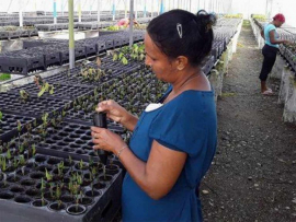 Impulsan Cuba y País Vasco agroecología y empoderamiento femenino