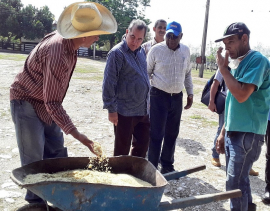Evalúan plan de seguridad alimentaria en Santiago de Cuba