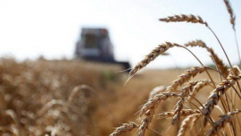 Cuba recibirá donativo de trigo desde Rusia