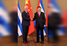 Dialogan en Cumbre Brics presidentes de Cuba y China