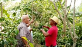 Tapia Fonseca visita a productor de frutas sanluisero (+Video)