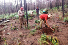 Implementan método contra incendios forestales en área protegida
