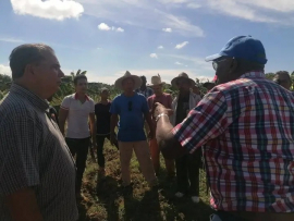 Vicepresidente cubano evalúa estado de la producción de alimentos Contramaestre