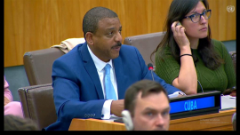 Cuba aboga por visibilizar impacto de medidas coercitivas en DDHH