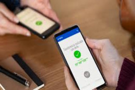 Sin opciones para Transferir