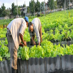 Por una agricultura familiar y sostenible
