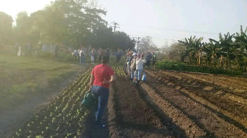 0 02 trabajo voluntario santiago 2