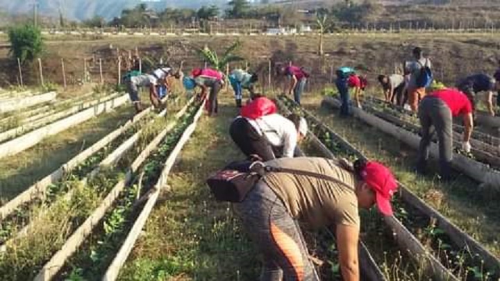 La movilización a jornadas productivas en apoyo a la producción de alimentos sigue marcando el quehacer sindical en la provincia santiaguera. Stgo convocatoria 1 Mayo 3