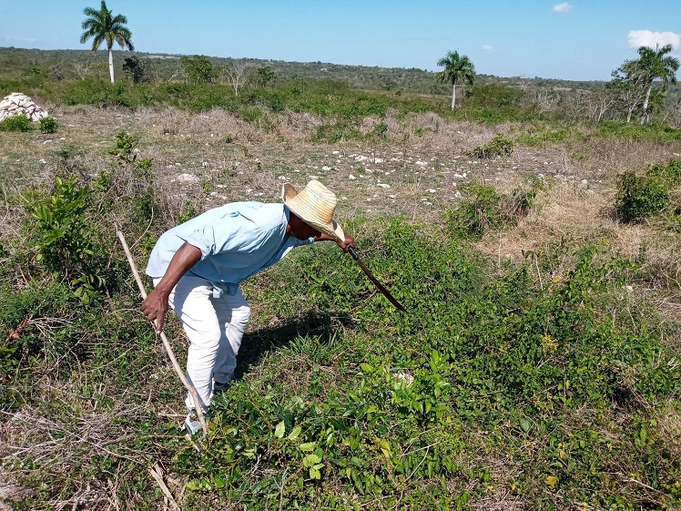 sergio chapeando