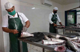 Reconocerán a trabajadores de la pesca en Santiago de Cuba