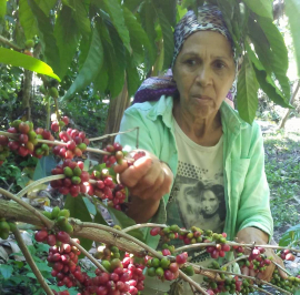 Finca "El Arroyito" un verdadero ejemplo de amor y entrega a la Tierra