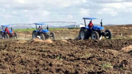 Empresa Agroforestal Sierra Cristal a la avanzada en producciones sostenibles