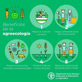 Agroecología, un camino a la soberanía alimentaria