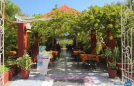 Los coppelia se mantienen en la preferencia