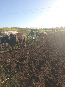 Las transformaciones también son para la producción agropecuaria