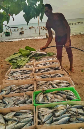 Pesca, raíces y compromiso social en Guamá