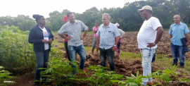 Evalúan autoridades políticas principales actividades económicas en San Luis