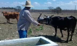 Campesinos santiagueros activos contra el delito