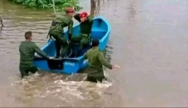 La solidaridad no está en crisis