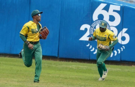 Serie Nacional: Vegueros arden y Avispas defienden su nido