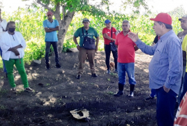 Intercambian con productores en polos agrícolas  santiagueros