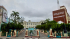 Cien años creando vida