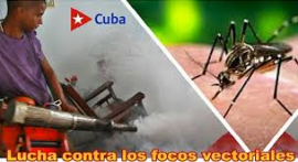 La salud está en tus manos