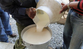 Sustituyen importaciones con la comercialización de leche de vaca
