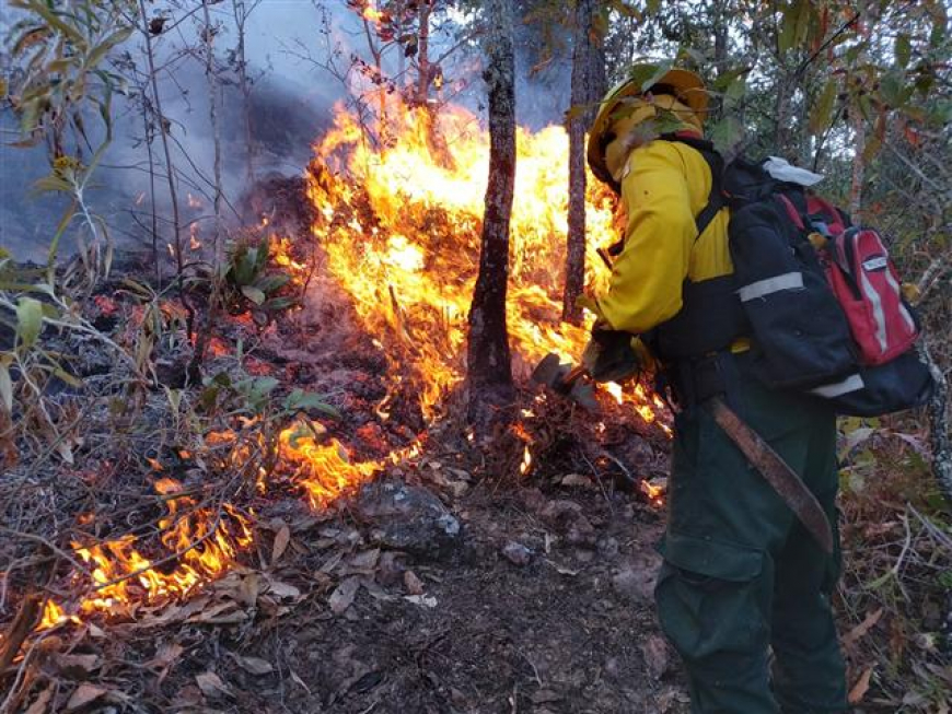 Cuba reporta máximos de incendios forestales para enero