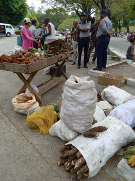 Culmina Ejercicio Nacional de prevención y enfrentamiento al delito
