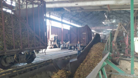 Rezagada la zafra en el Dos Ríos
