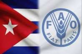 Cuba promueve agroalimentación sostenible ante el foro mundial de la FAO