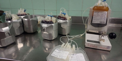 Impulsa Banco de Sangre aplicación de Medicina Regenerativa