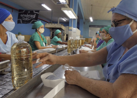 Trabajadores de la Industria Alimentaria celebran su día